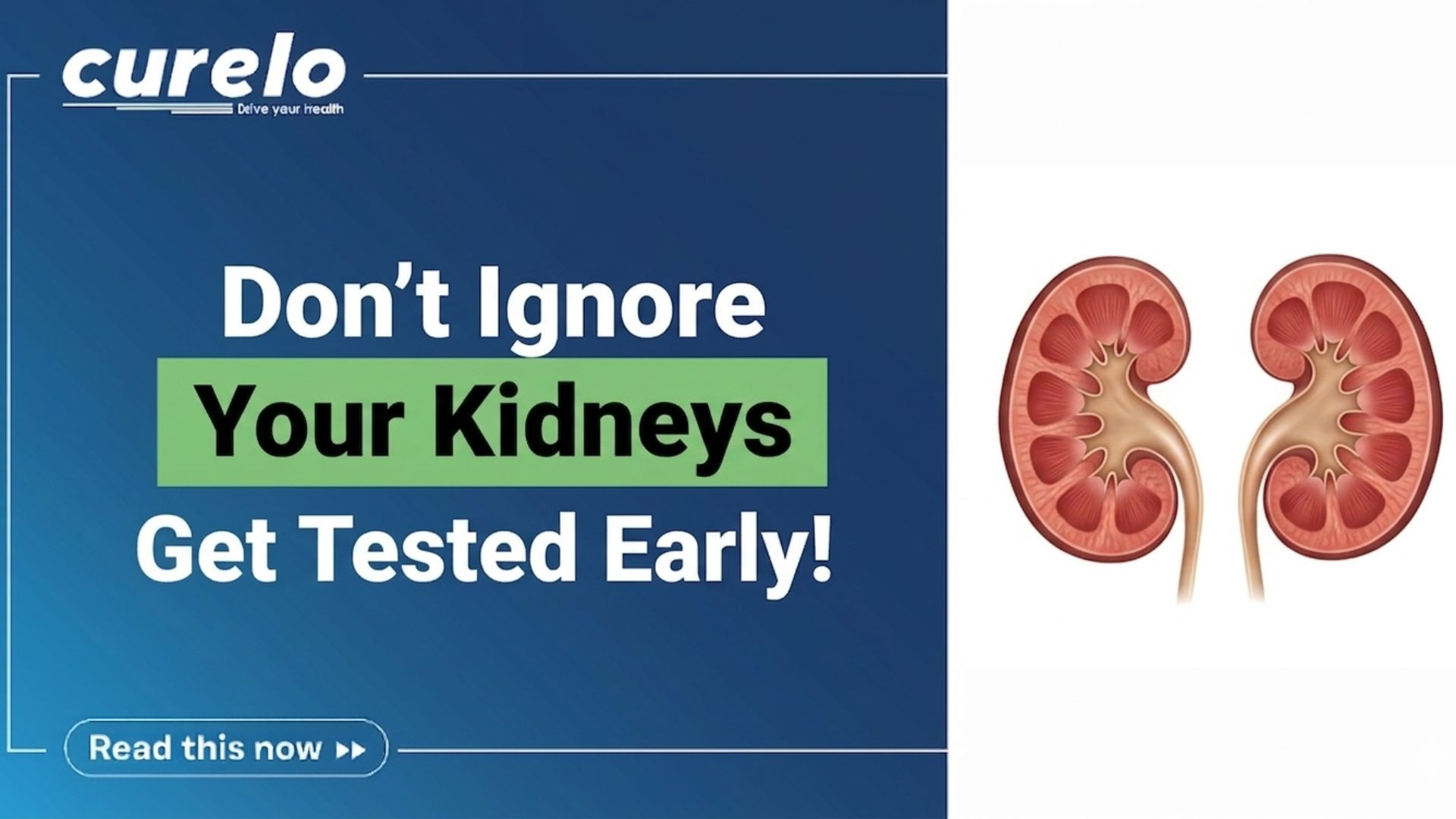 top tests for kidney check and early detection of kidney disease