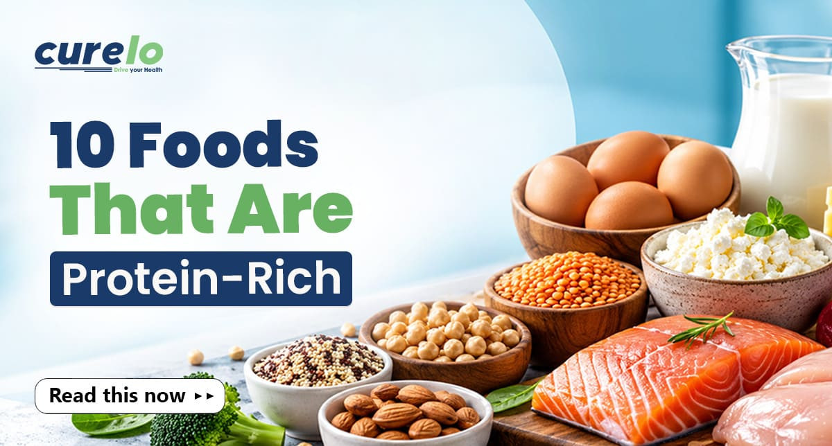 What Foods Are Highest in Protein? 10 Best Options 10 best high-protein foods including eggs, paneer, fish and dal