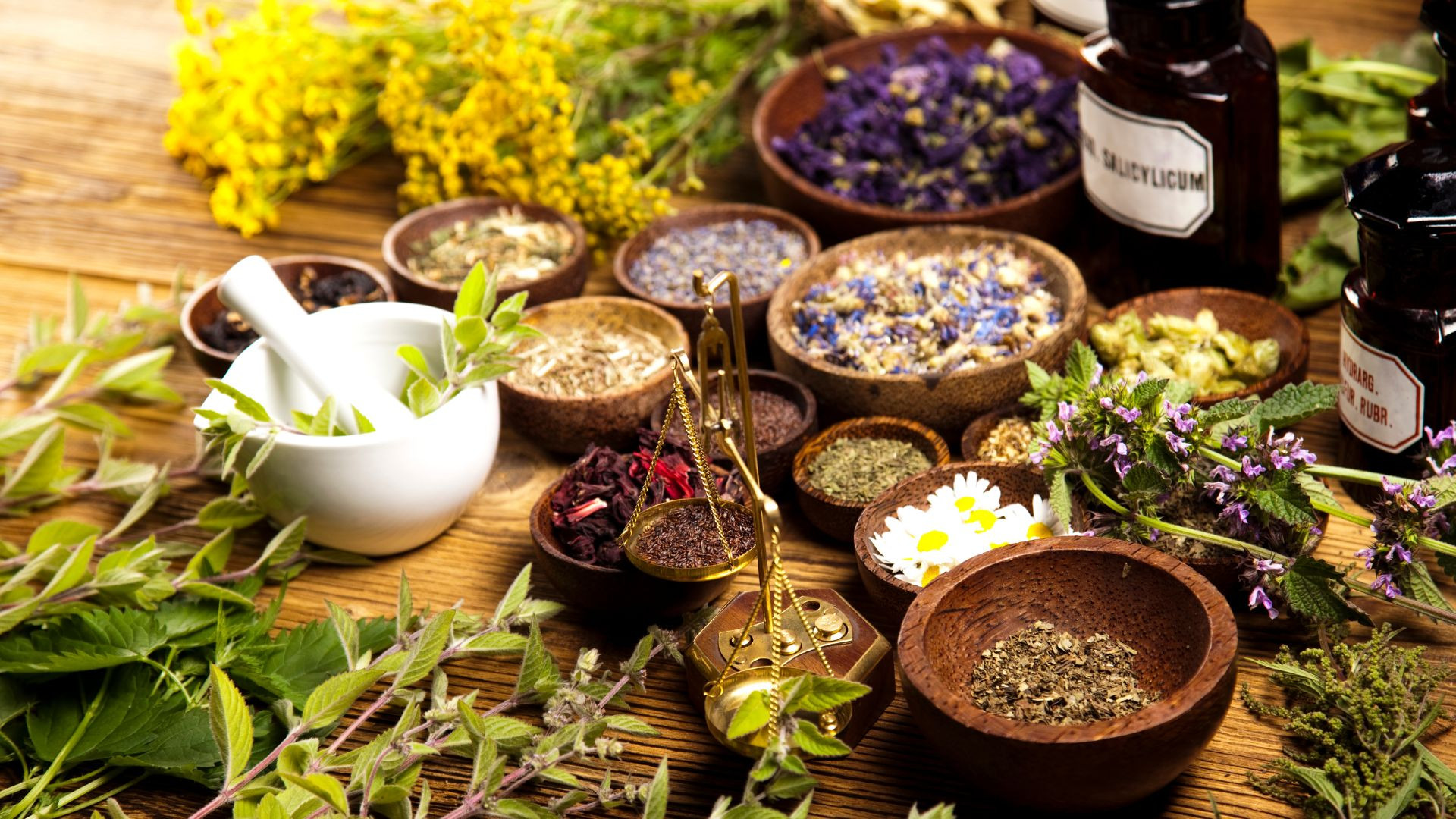 Herbs that will boost your immune system