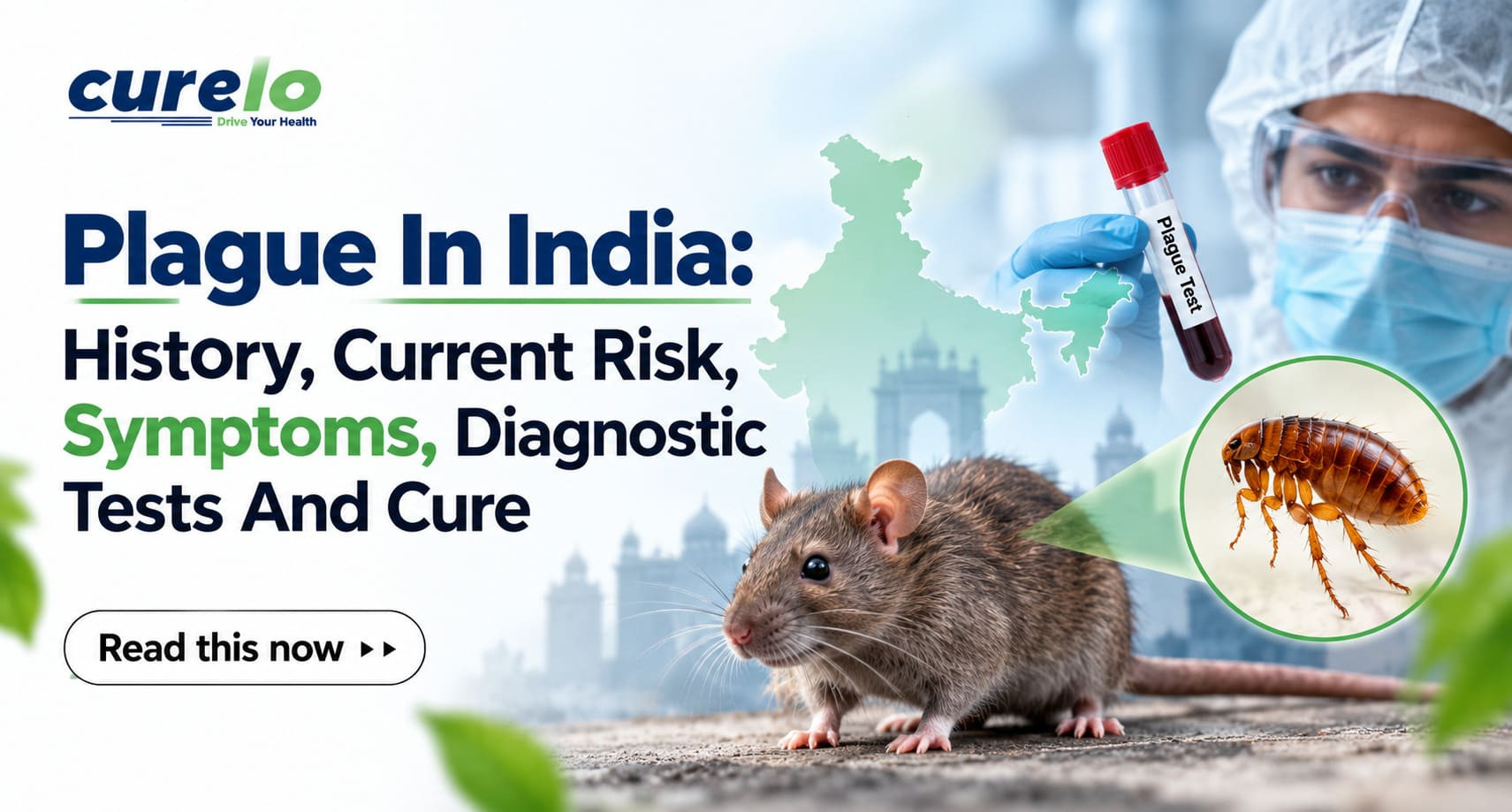 Plague in India showing symptoms, diagnostic tests and types of plague