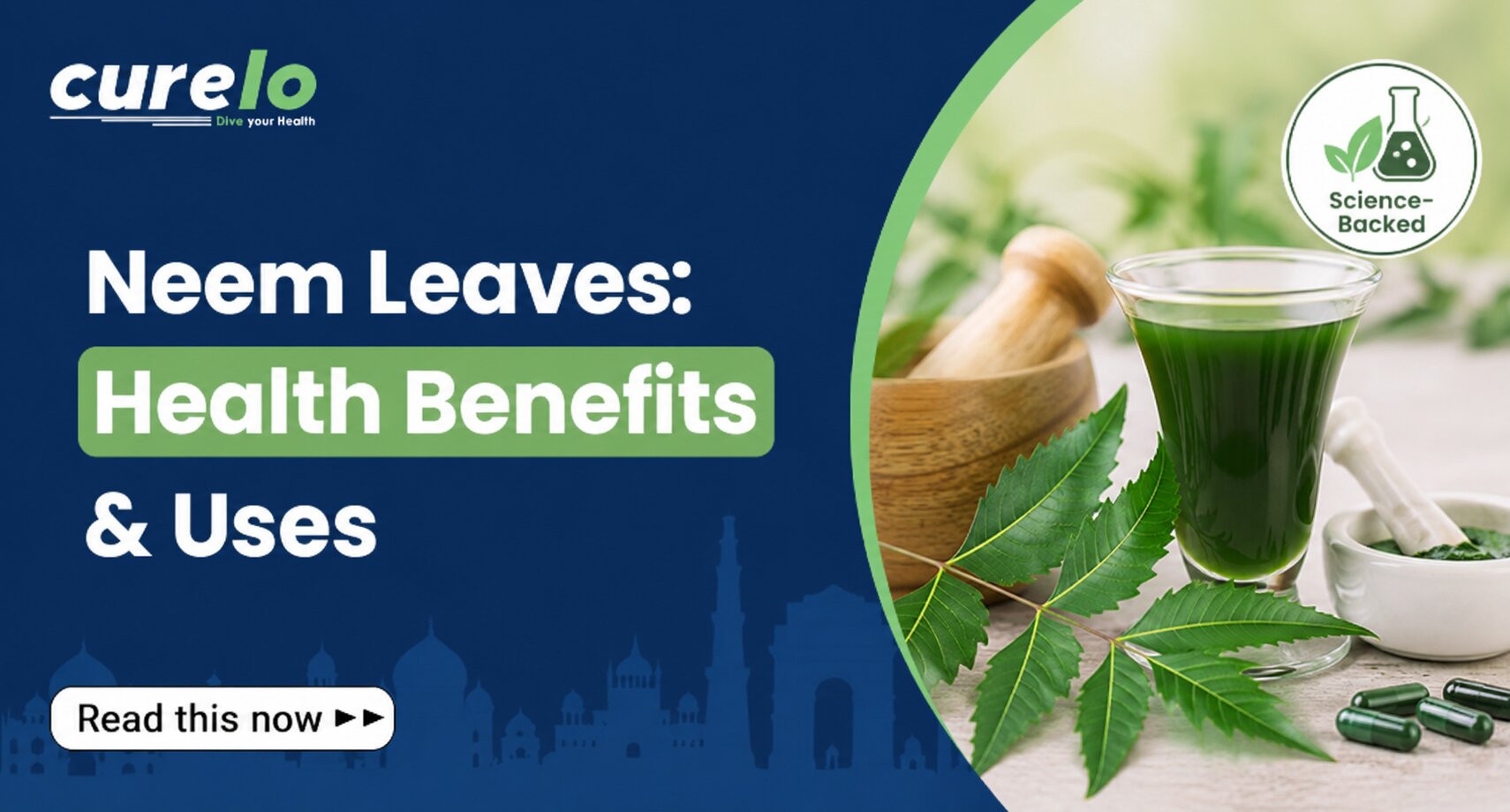 Fresh green neem leaves with scientific health benefits — Curelo Health blog