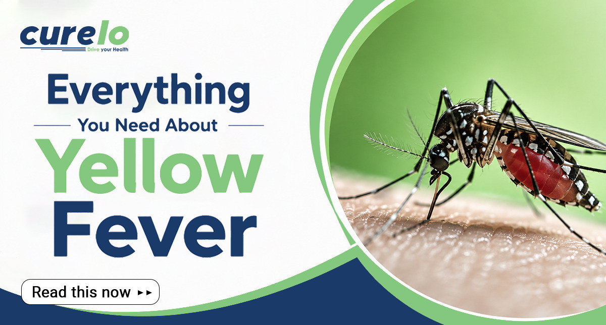 Yellow fever symptoms, prevention guide, and vaccination info infographic