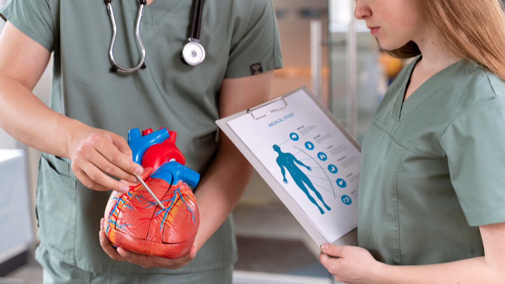 The Role of Blood Tests in Preventing Heart Attacks: What You Need to Know The Role of Blood Tests in Preventing Heart Attacks: What You Need to Know