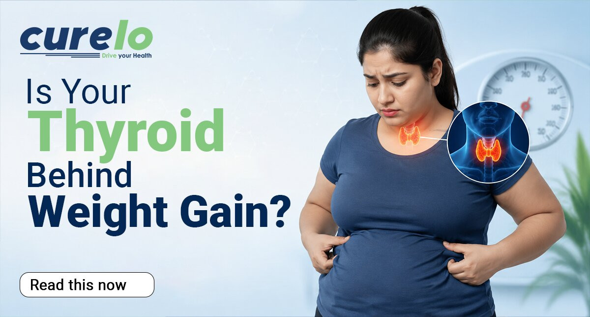 Thyroid gland illustration showing link to weight gain and metabolism