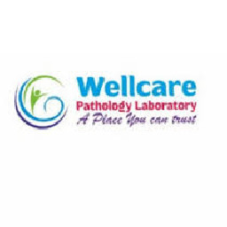 Lab Image